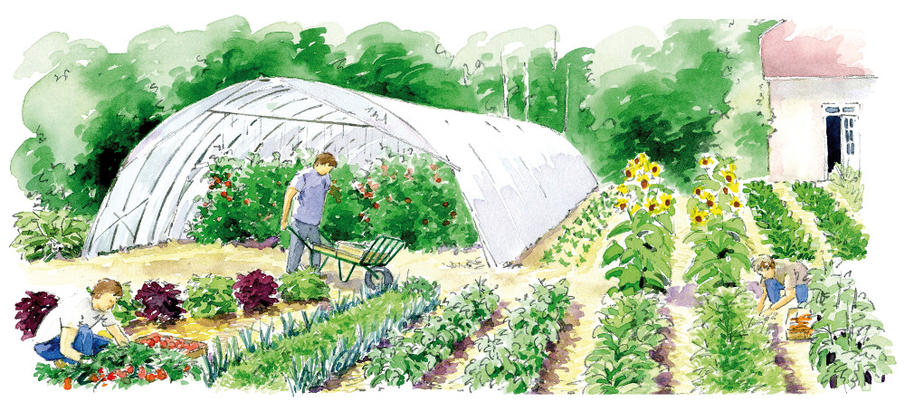 bourd-dessin-vue-1-2