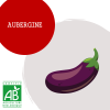aubergine
