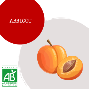 abricot