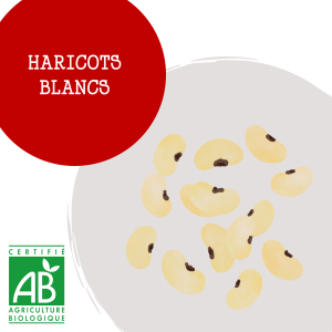 aricots_blancs