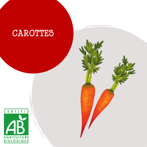 carottes_1_2068556190