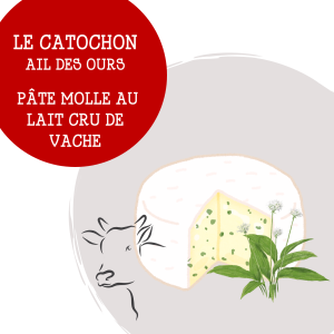 catochon_ail_des_ours