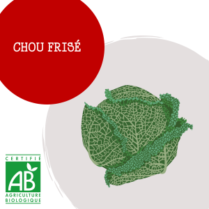 chou_fris