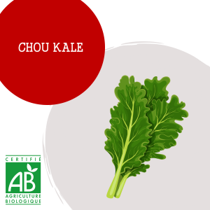 chou_kale_1458608126