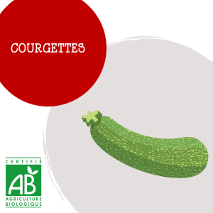 courgettes
