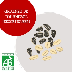 graines_tournesol