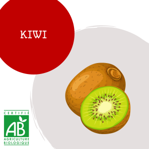 kiwi