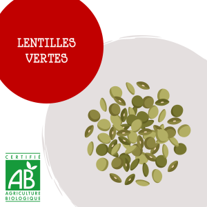 lentilles_vertes