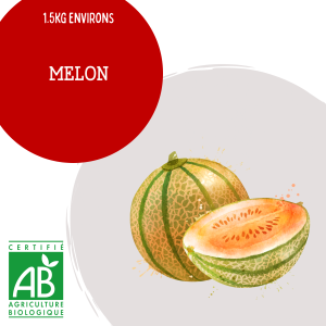 melon