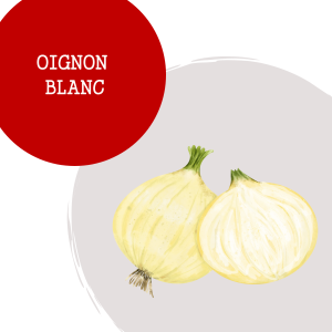 oignon_blanc