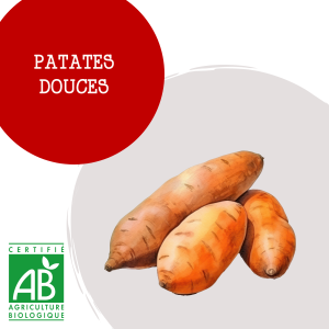 patates_douce_1810706359