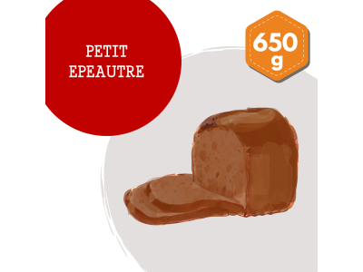 petit_epeautre_1